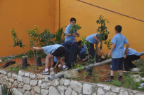 بالصور: زرع أشجار حمضيات في مدرسة حسن عرفة بيافا ضمن مشروع مؤسسة الرابطة